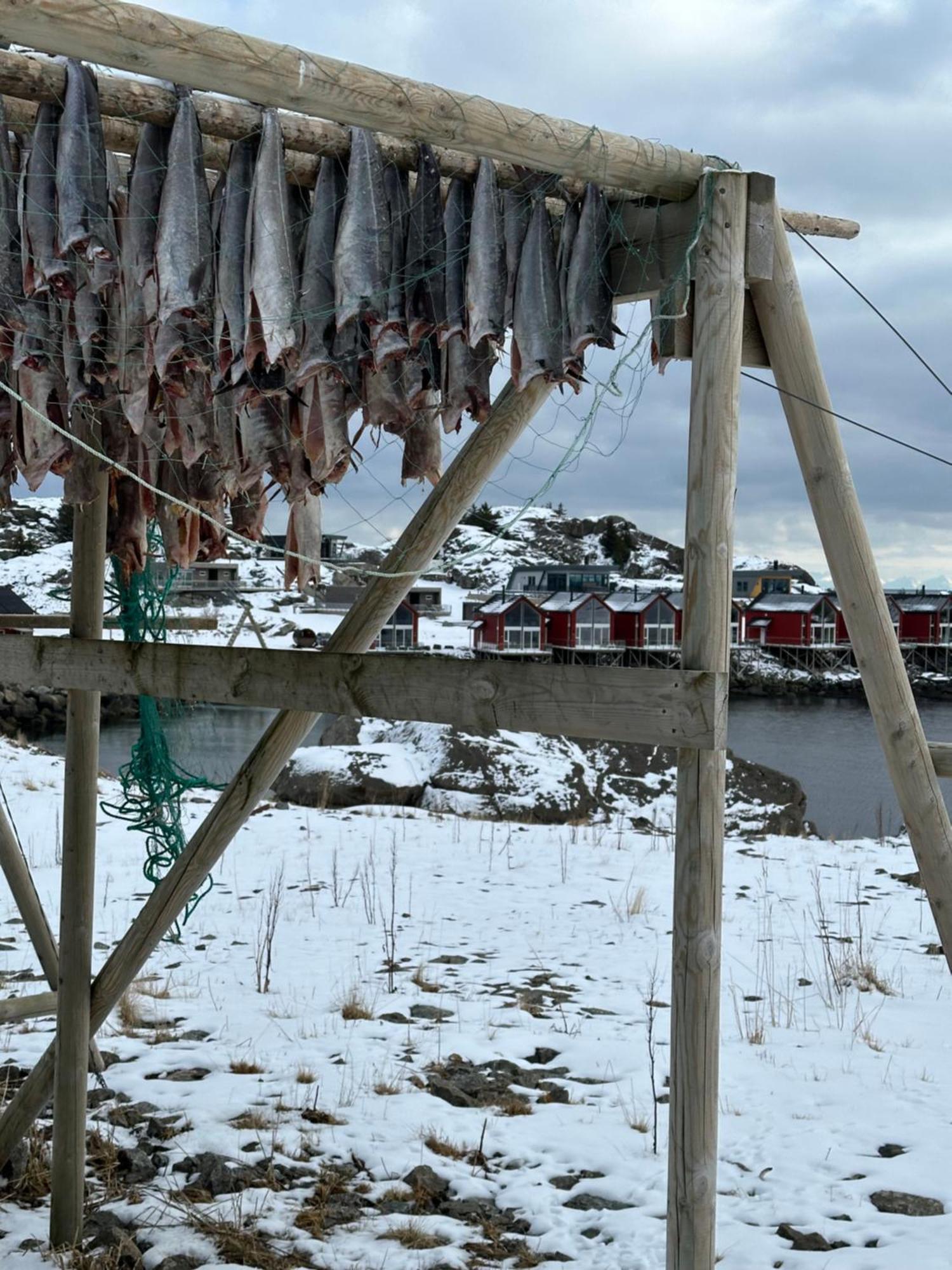 Superior Cabin Ballstad Lofoten Kültér fotó